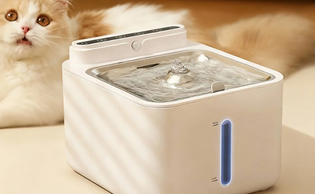 Why a Cat Water Fountain Is a Smart Purchase for Every Home